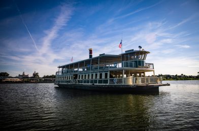 Saluting Our Veteran Cast Members: Disney Parks Honor Veterans Day