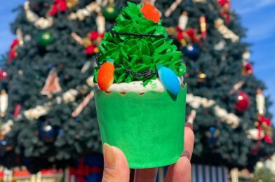 Need a Gift Idea? Check Out These Holiday Cookies at Disney’s Polynesian Village Resort!