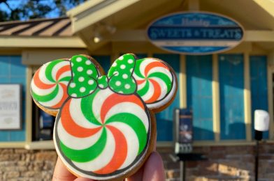 REVIEW: Minnie Peppermint Cookie and More Holiday Sweets & Treats at the 2020 Taste of EPCOT International Festival of the Holidays