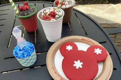 Review! Mickey’s Holiday Cookie in Disney World is Full of Joy, Cheer, and Yes, SUGAR!