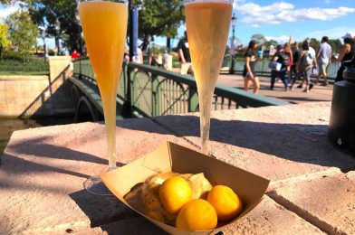 REVIEW: NEW Immunity Boost Mimosa Debuts at the Le Marché de Noël Holiday Kitchen for Taste of EPCOT International Festival of the Holidays 2020