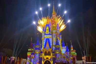 DFB Video: Latest Disney News: Fireworks in Magic Kingdom, a Train Station is Coming to Disney Springs & MORE