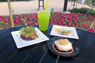 REVIEW: Mele Kalikimaka Debuts at the 2020 Taste of EPCOT International Festival of the Holidays with Kālua Pork, Hawaiian Coconut Pudding, and Tasty Lomi Lomi Salmon