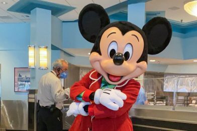 Review! Celebrate Mickey’s Birthday With TWO Limited Time Treats in Disney World!