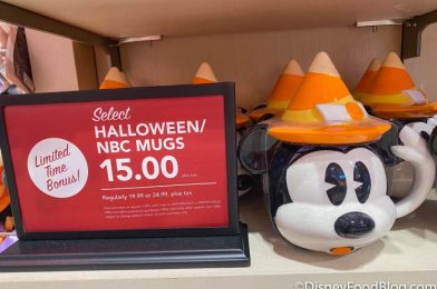 20 Hidden Discounts in Disney World NOW!