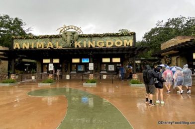 What’s New in Animal Kingdom: A Missing Animatronic, a Restaurant Reopening, and More!