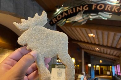 REVIEW: NEW Christmas Spiced Moose Cookie is a Cozy, Cute Treat at Disney’s Wilderness Lodge