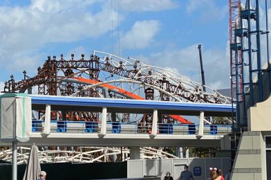 PHOTOS: Construction Continues on Massive Illuminated Canopy for TRON Lightcycle Run, Plus a Look at Ongoing Tomorrowland Refurbishments at the Magic Kingdom