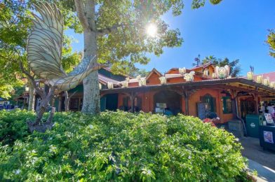 MORE Holiday Decorations Are Up in Disney’s Animal Kingdom!