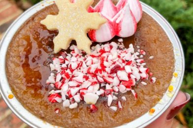 REVIEW: Is This the PERFECT Holiday Snack for Peppermint Lovers in Disney World?