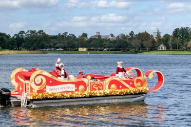 DFB Video: Latest Disney News: Park Hopping Returns, Lots of Construction Updates, Holiday Decor & So Much More