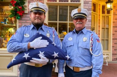 Disney World Honors Veterans With Special Sunrise Salute