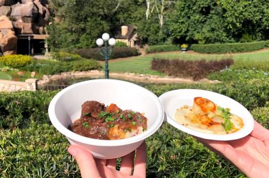 REVIEW: NEW Seared Scallops and Beef Bourguignon at Yukon Holiday Kitchen for the 2020 Taste of EPCOT International Festival of the Holidays