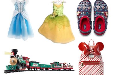 Top Last-Minute Gift Ideas from Disney Springs