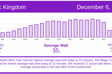 Good Weather Brings Crowds – Disney World Wait Times for Sunday, December 6, 2020