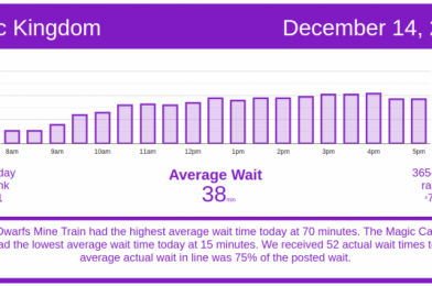 Wow – Magic Kingdom! Disney World Wait Times for Monday, December 14, 2020