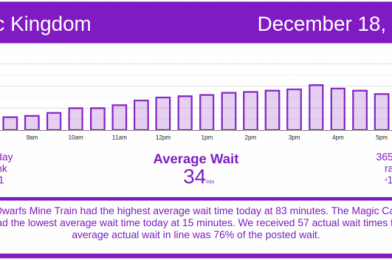 Cold Day, Cool Wait Times: Disney World Wait Times for Friday, December 18, 2020