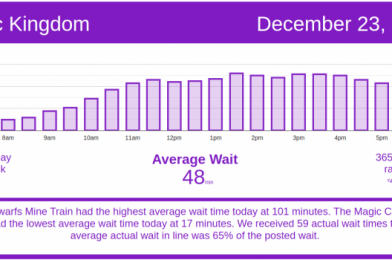 Disney World Wait Times for Wednesday, December 23, 2020