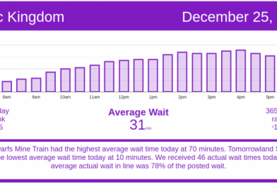 Not a Creature Was Stirring – Disney World Wait Times for Friday, December 25, 2020