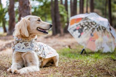 Match With Your Fur-Ever Friends With Disney’s New Raincoat!