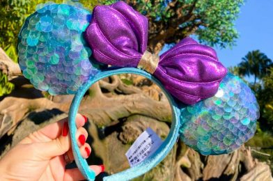 PHOTOS: The NEW Wintery Blue Ears Are Finally Available in Disney World!