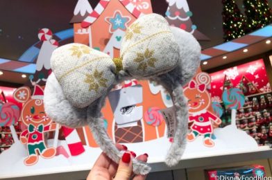 FINALLY! The COZIEST Ears We’ve Ever Seen Just Arrived in Disney World!