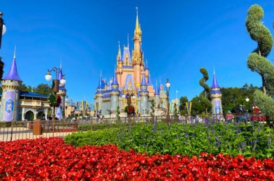 NEWS: Select Disney World Park Hours Have Been Extended In Early January