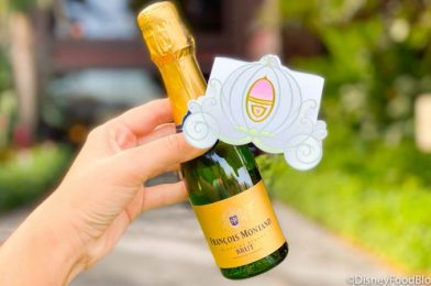 What Could Possibly Go Wrong With Truffles and Booze in Disney World?!