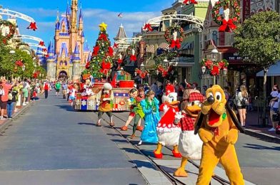 PHOTOS and VIDEOS! Check Out the Christmas Eve Crowds in Disney World!