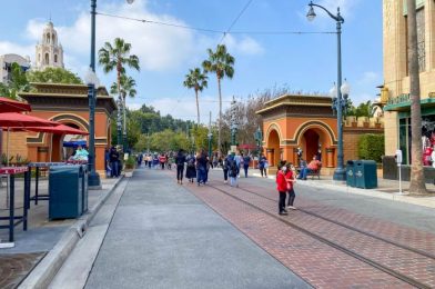 We Waited 90 Minutes to Get Inside the Reopened Off the Page Store in Disney California Adventure