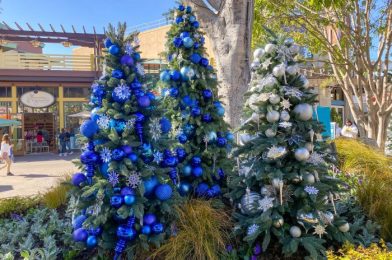 This Adorable Tumbler in Disneyland is Decked Out With Christmas Spirit!