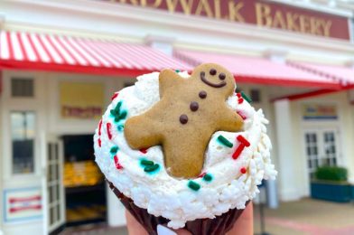 Review: The Strawberry Champagne Cupcake Was Missing An Important Flavor in Disney World!