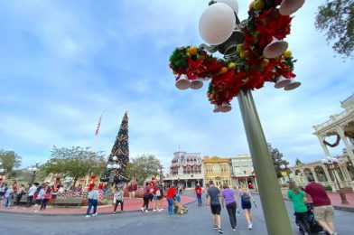 What’s New in Magic Kingdom: Cast Members Work on the PeopleMover, Crystal Palace Reopens, and More!