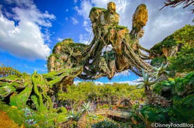 20 Photos and Videos From Our Day at Disney’s Animal Kingdom and Magic Kingdom!