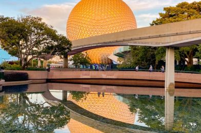 DFB Video: The Ultimate Guide to Disney World Discounts!