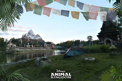 VIDEO: New Disney’s Animal Kingdom Super Zoom Magic Shot Now Available