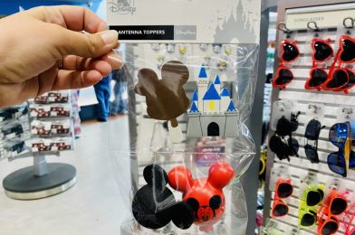 PHOTOS: NEW Disney Parks Antenna Topper Set Arrives at Walt Disney World