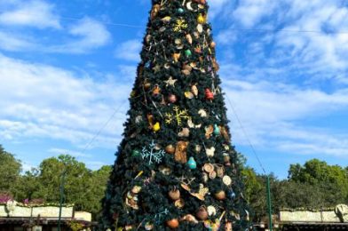 What’s New at Animal Kingdom and Animal Kingdom Lodge: Tons of SNACKS, Safari Updates, and MORE!