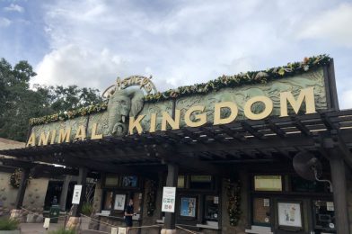 Let’s Take a Virtual Tour of Animal Kingdom’s Holiday Decorations!