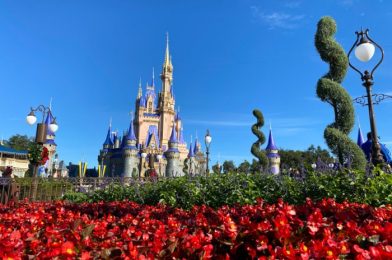 DFB Video: 45 Disney World Tips You’ll Need in 2021!