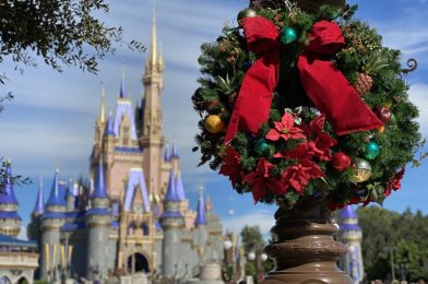 PHOTO REPORT: Magic Kingdom 12/2/20 (New “Magic Carpets of Aladdin” Wishables, BOGO Princess Costume Dresses, Breakfast Offerings at Lunching Pad and Friars Nook Gone, and More)