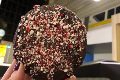 Saturday Snacks: Let’s Make EPCOT’s Chocolate Peppermint Cookies!