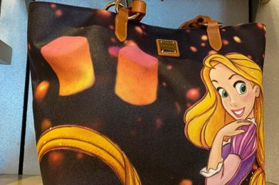 Best Day Ever! We’ve Never WANTED a ‘Tangled’ Danielle Nicole Bag More!