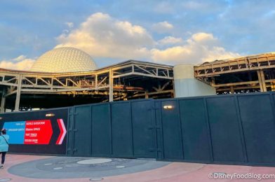 PICS: The New EPCOT Entrance Fountain Is Almost Finished!