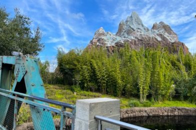 Why SO Many MORE People Ride These Disney World Rides