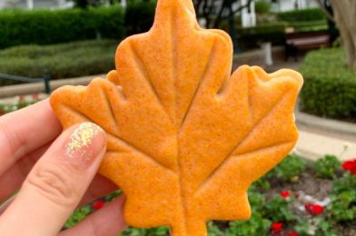 REVIEW: Missing Fall Flavors? We Found a Lingering PUMPKIN SPICE Cupcake at Disney World Today!