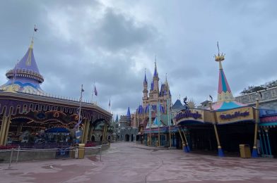 PHOTOS – Follow Our Team All Day in Magic Kingdom