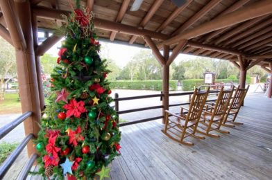 PHOTOS! Disney Guests Keep the Christmas Tradition Alive with Decorated Golf Carts!