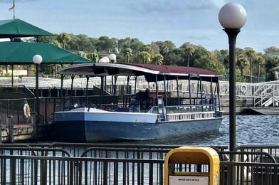 Boat Service Returns to Seven Seas Lagoon