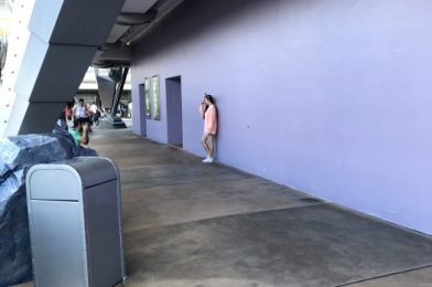 Disney in a Minute: What is the Purple Wall?